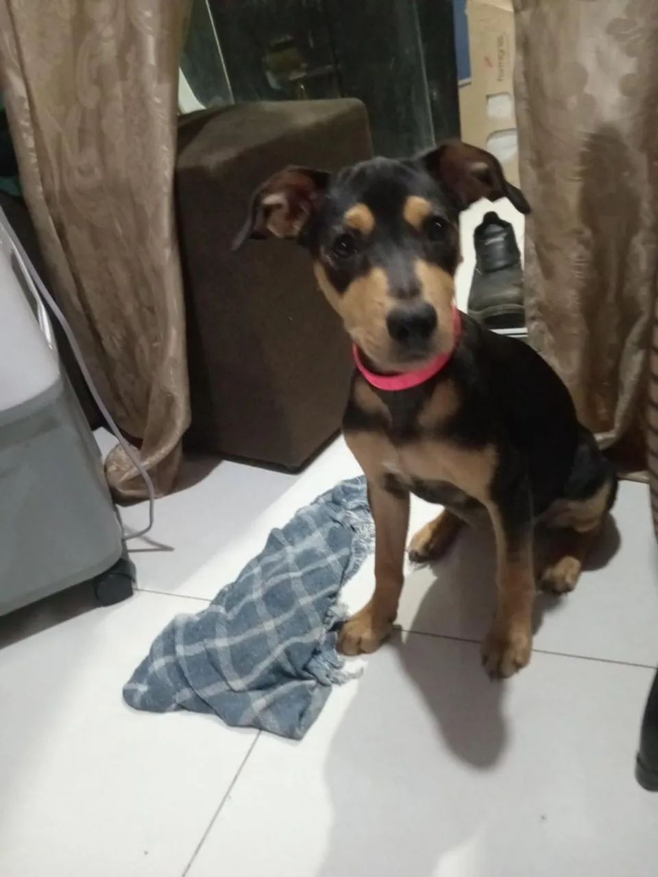 Doação 