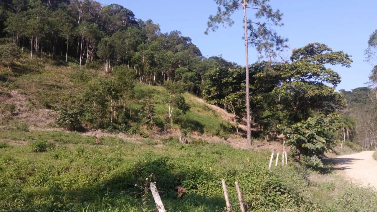 Vendo Sítio com 12 alqueires em Sete Barras SP