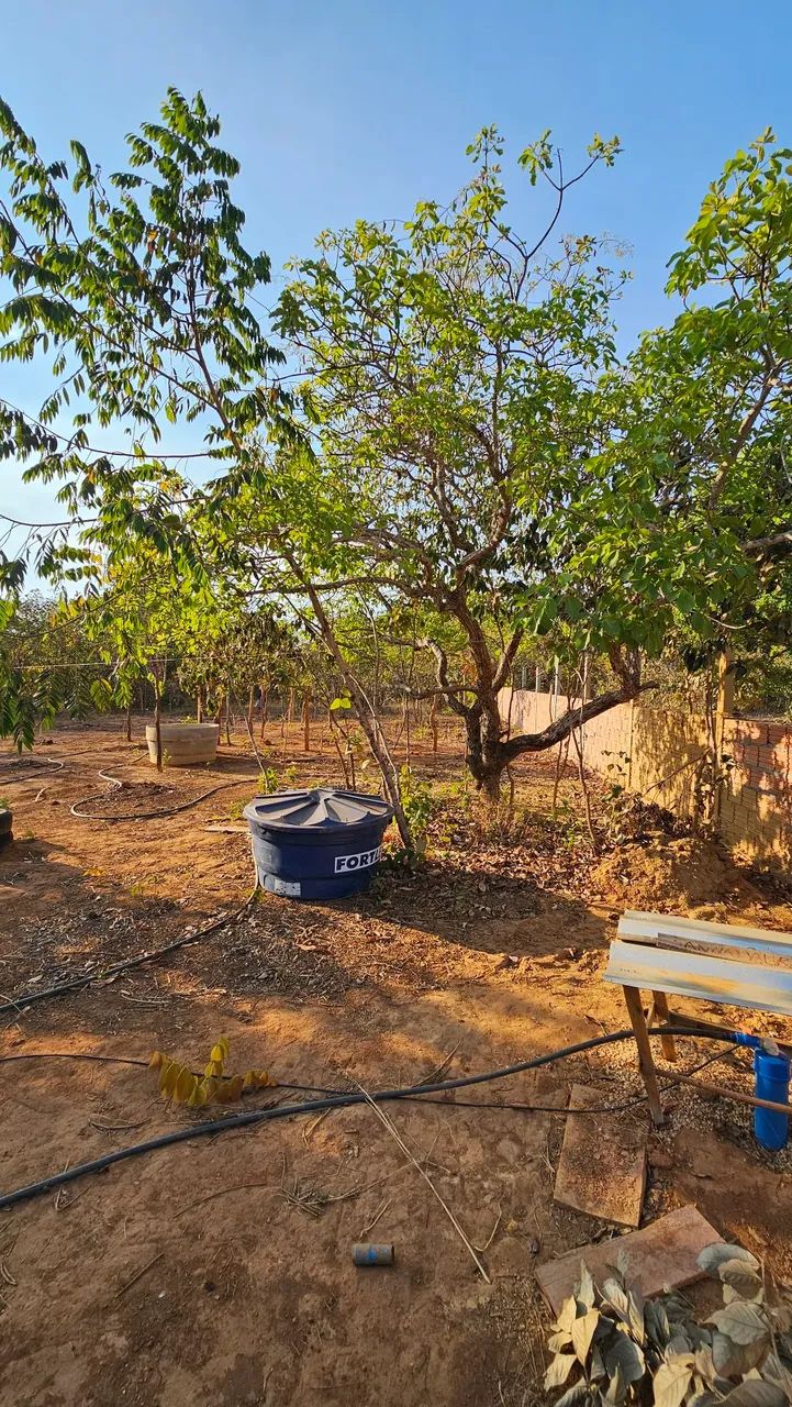 Chácara prox. Fazenda do Henrique e juliano - Foto 3