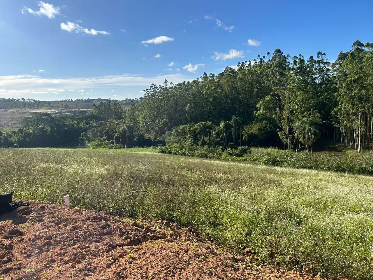 ESSA OFERTA DE 500m² EM COTIA MERECE SUA ATENÇÃO! - Foto 5