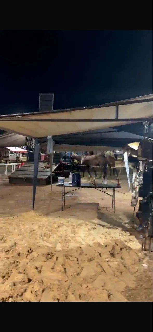 Trailer emplacado pra 3 cavalos com camas e ar-condicionado  - Foto 5