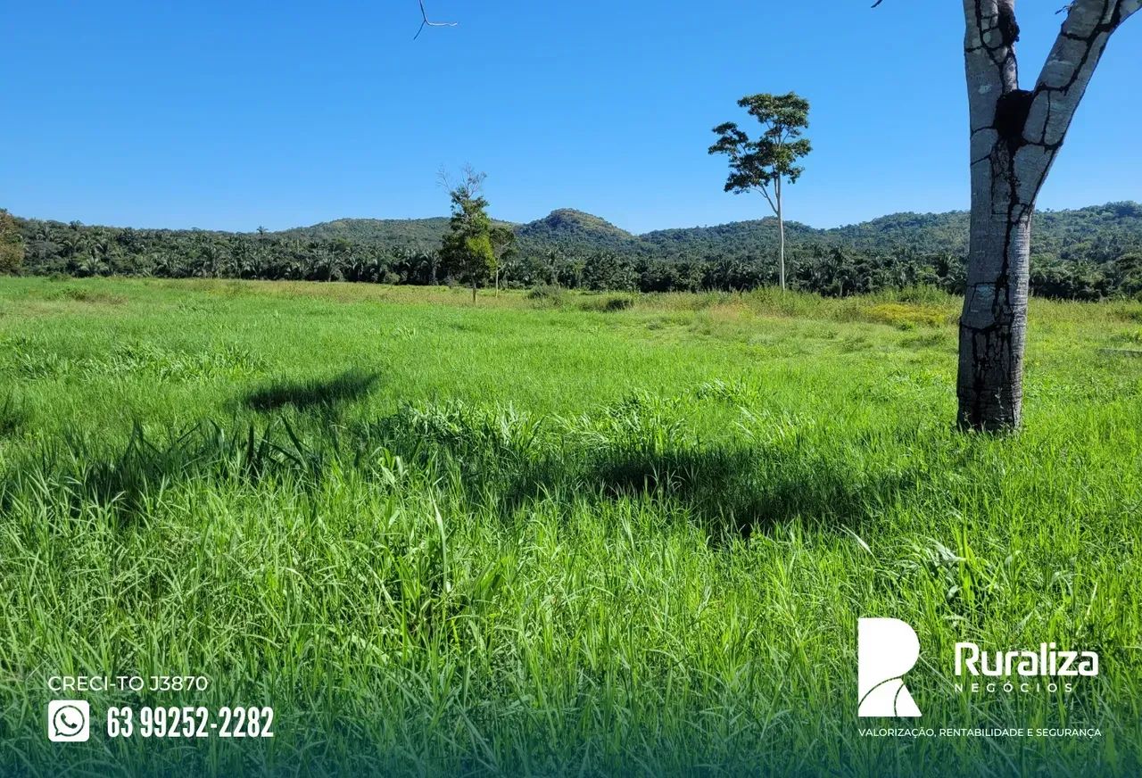Fazenda em Miranorte-TO | Terra de cultura - Foto 4