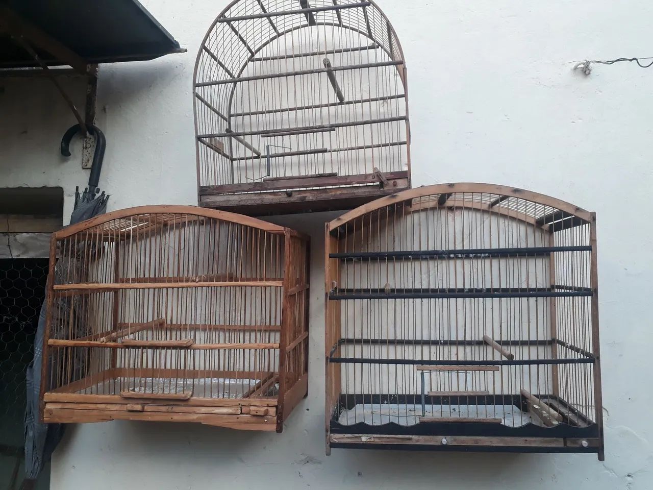 Vendo ótimas gaiolas de belgas e pretinhos. Baratas - Foto 2