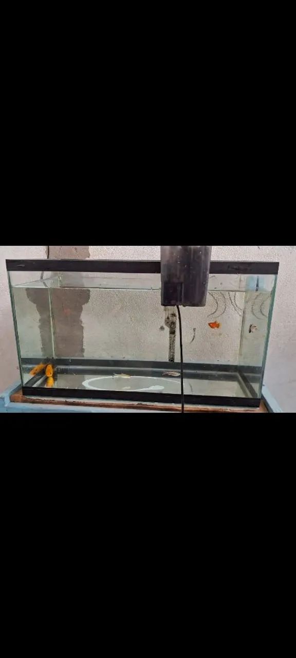 Aquario 25L  - Foto 3