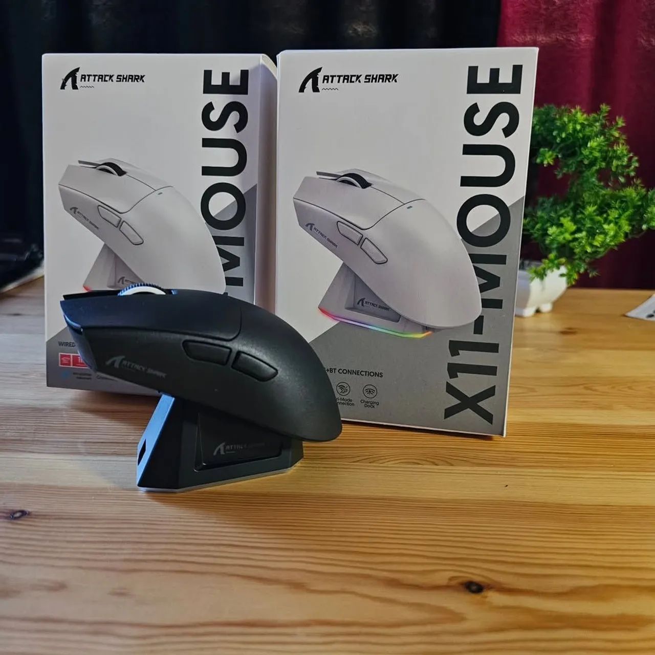 Mouse Gamer Attack Shark X11 Novos - Foto 2