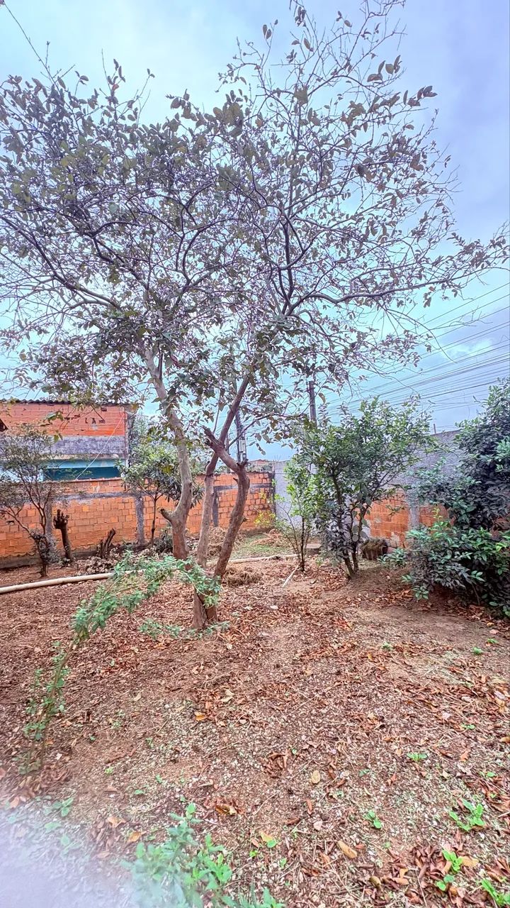 VENDA DE TERRENO/CASA - Foto 4