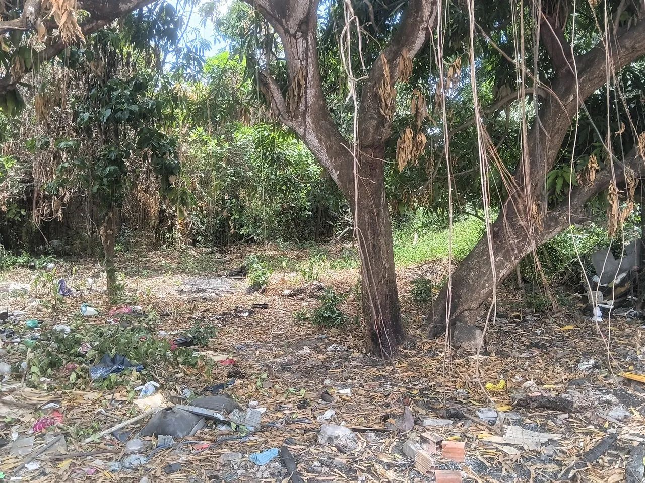 Casa com terreno - Foto 2