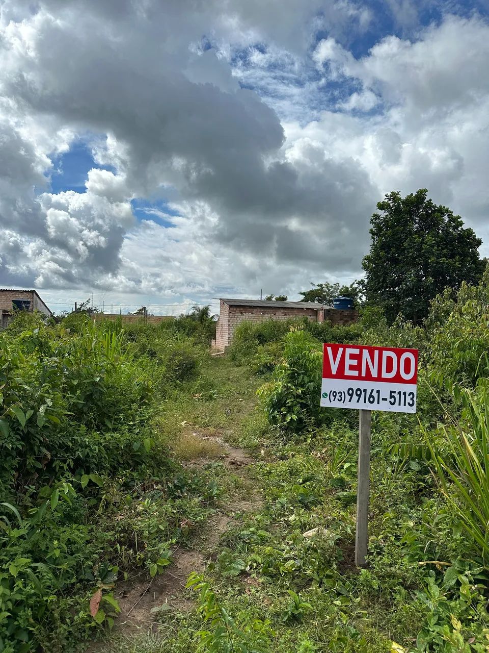 Foto - Santarém - Centro