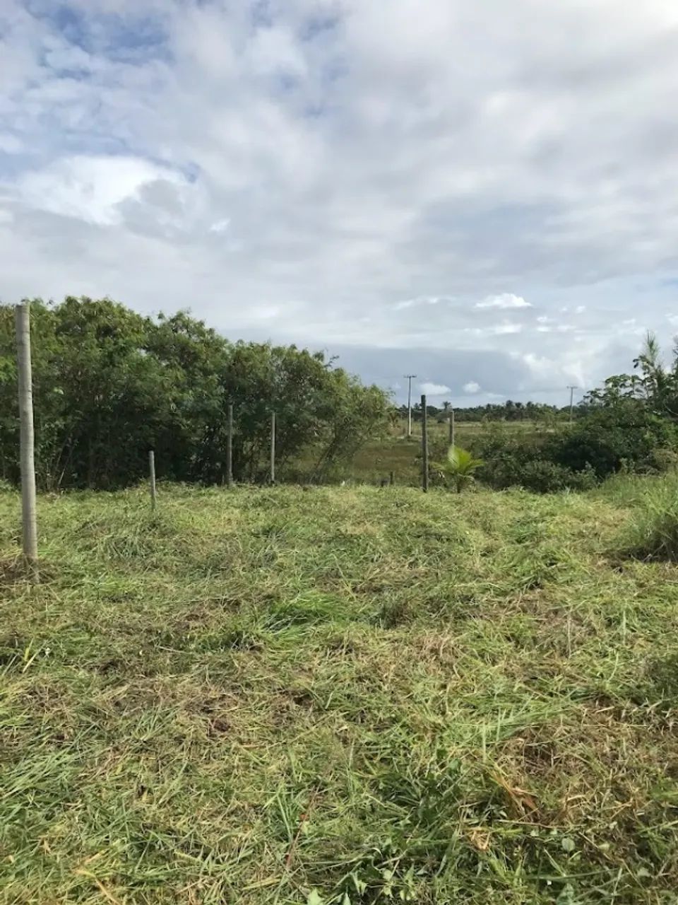 Lote na Avenida Central - Foto 2