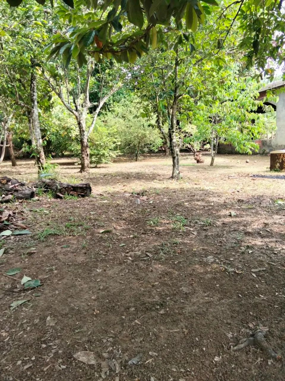 Mini chacara - Foto 4
