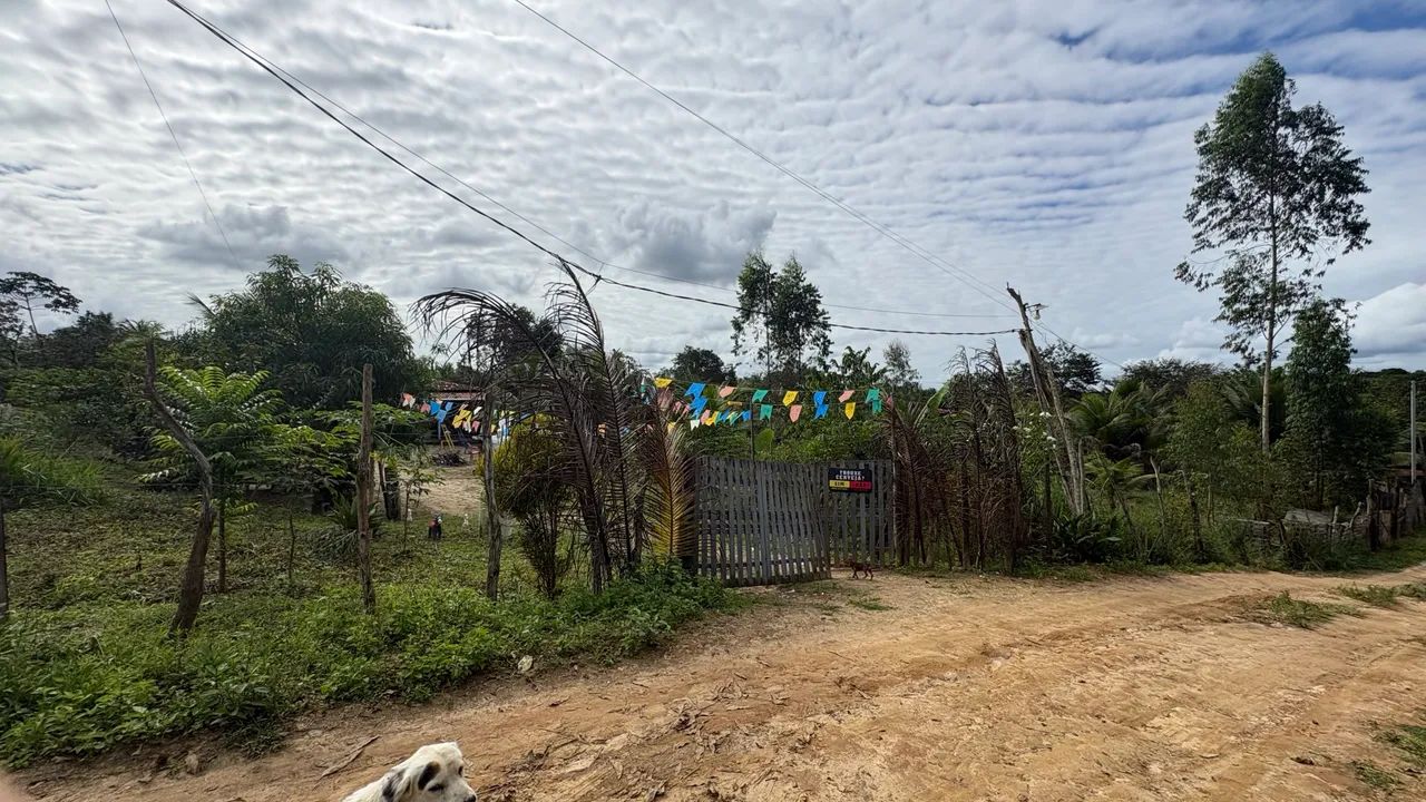 Sítio - Alagoinhas  - Foto 4