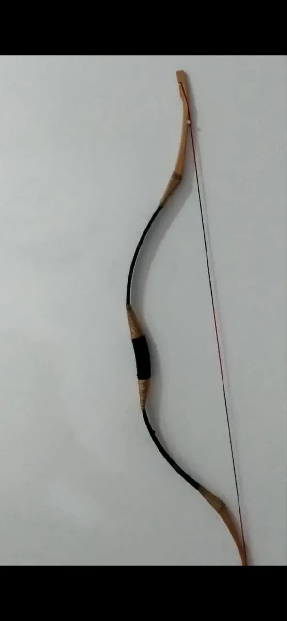 Arco mongol  - Foto 2