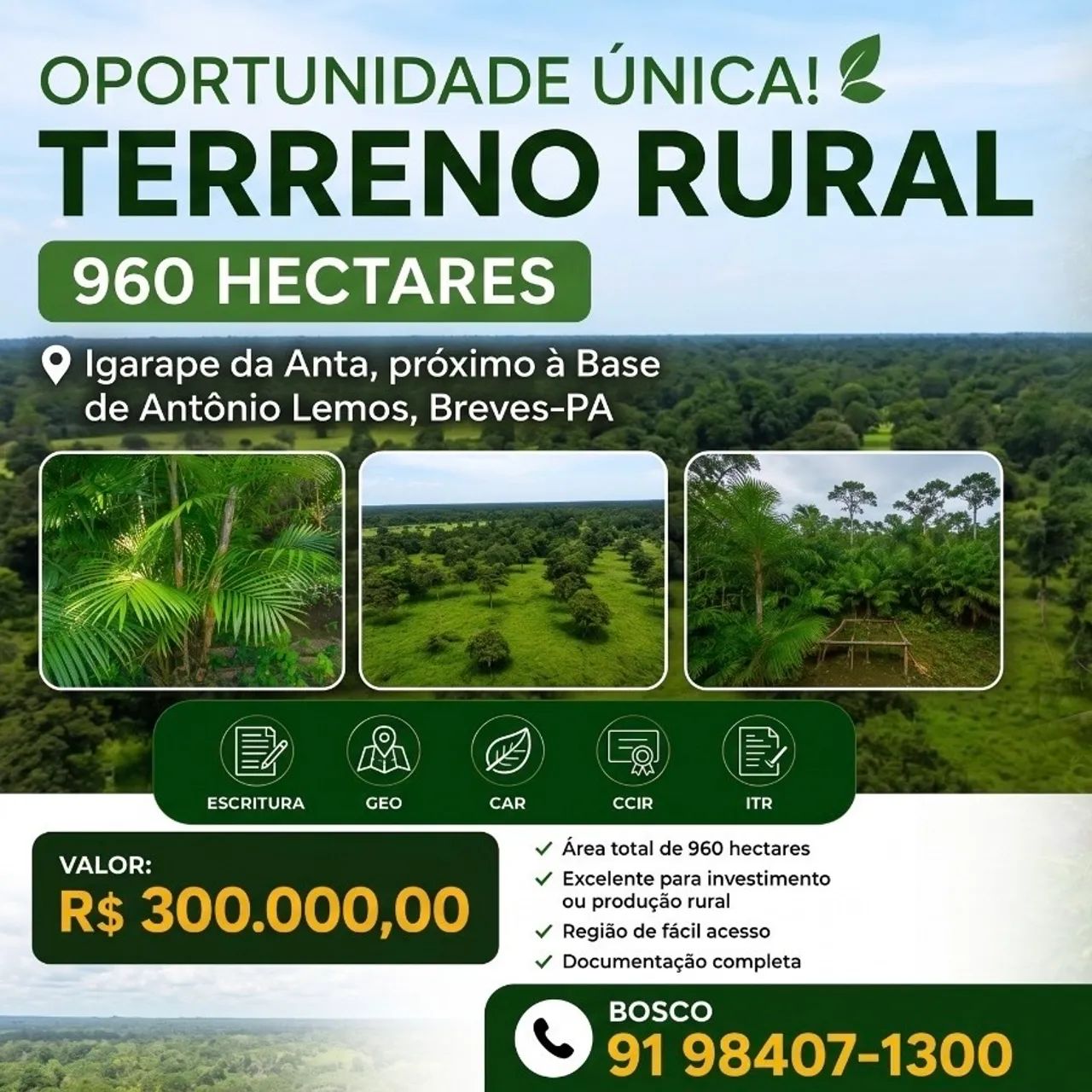 Terreno de acaizal