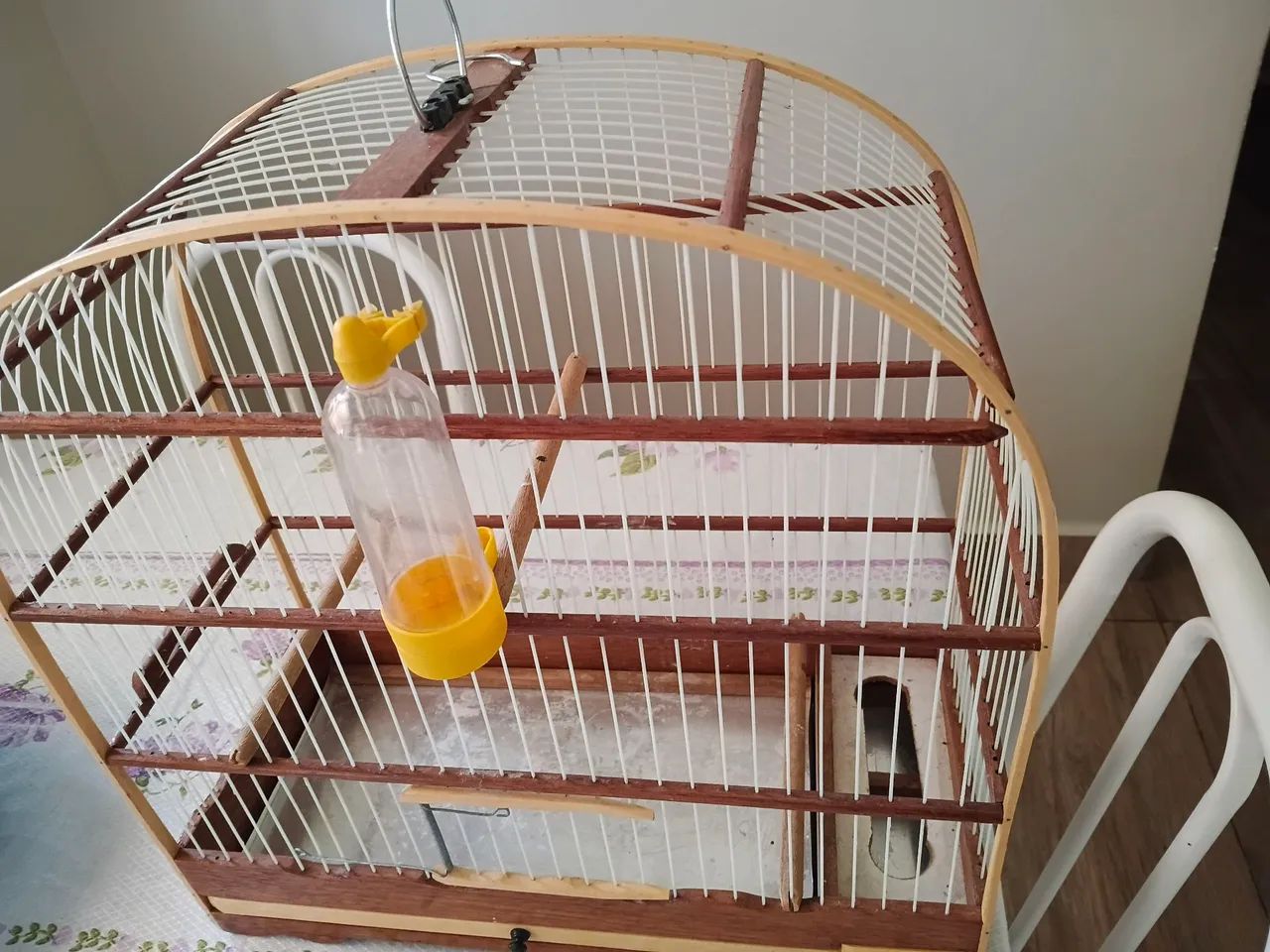 Gaiola - Foto 2