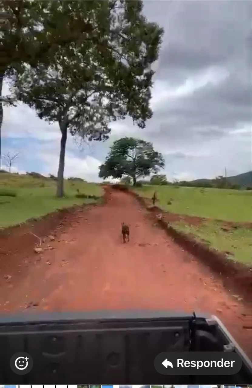 Fazenda em barro alto  - Foto 3