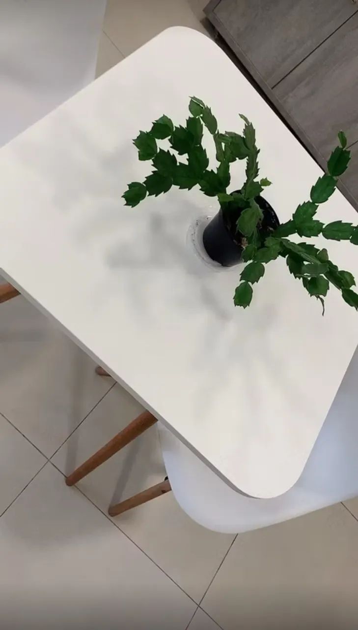 Jogo de mesa  - Foto 3