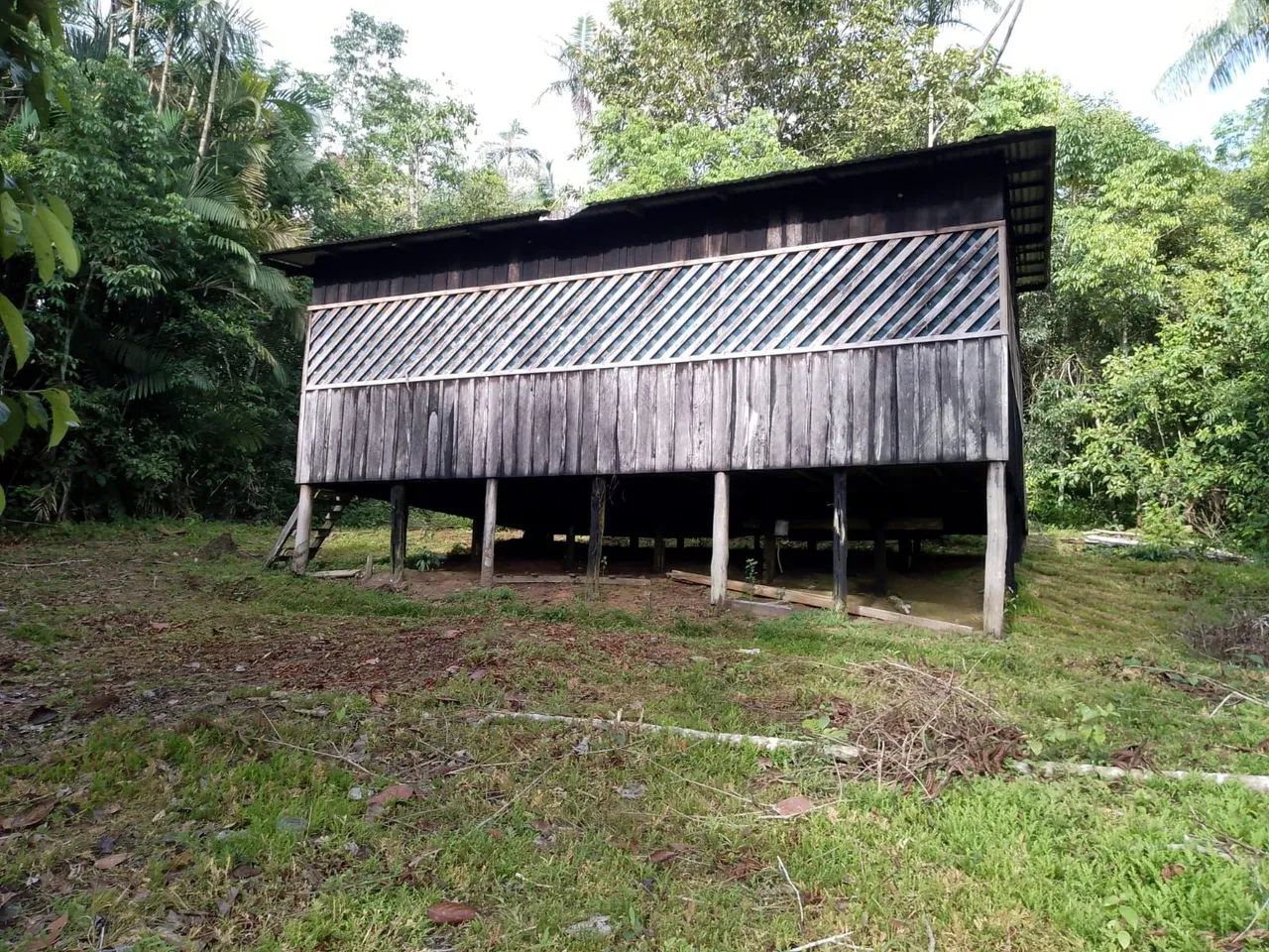 Foto - Manaus - Aleixo