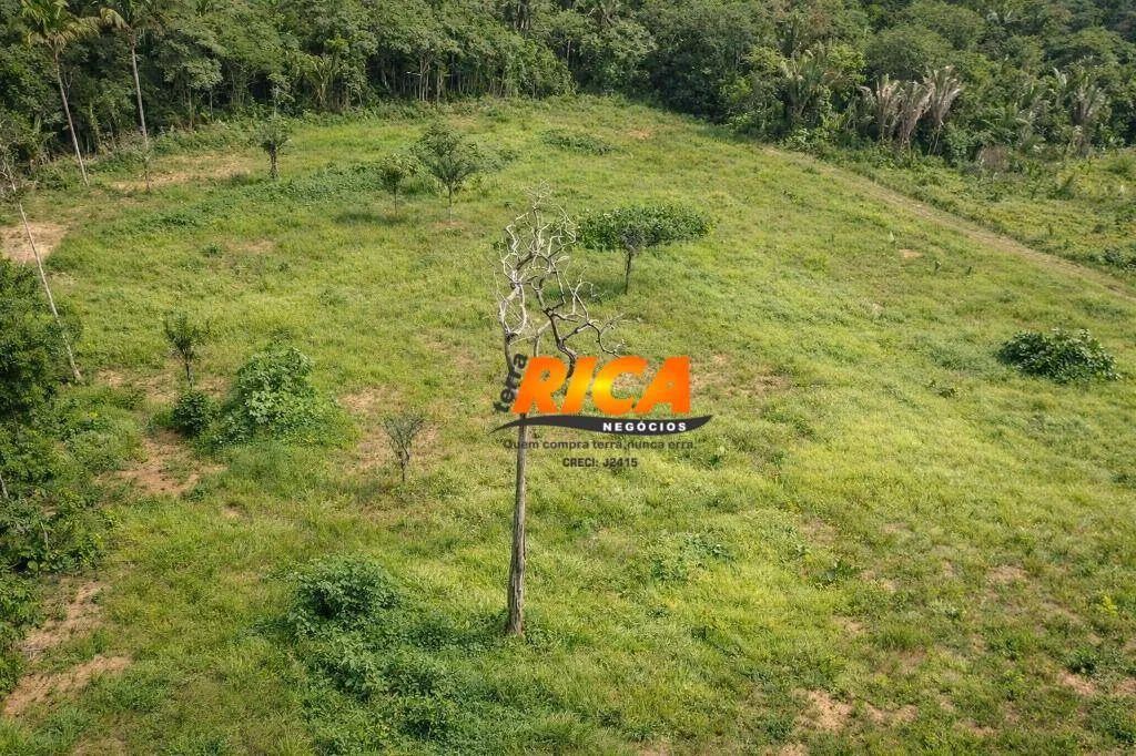 Fazenda à venda - 37 km de Porto Velho /RO - Foto 3