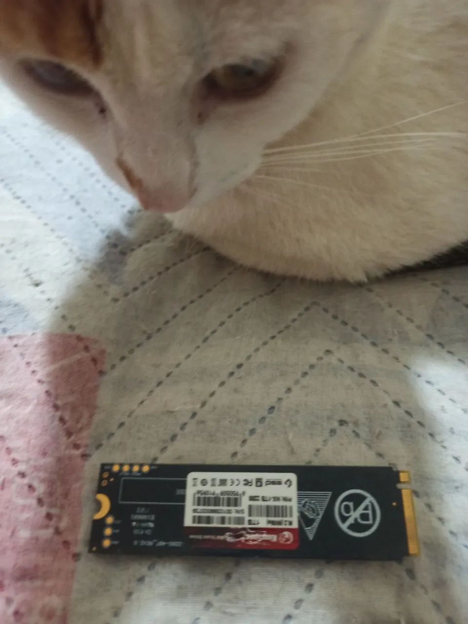 SSD NVme 1tb - Foto 2