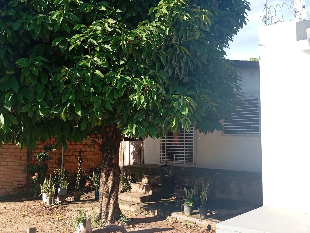 Vendo terreno com duas casas  - Foto 3