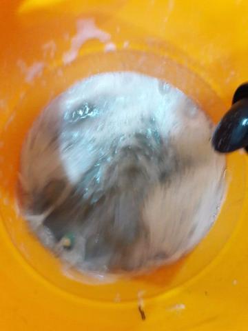 Limpeza / lavagem de sofá * - Foto 3