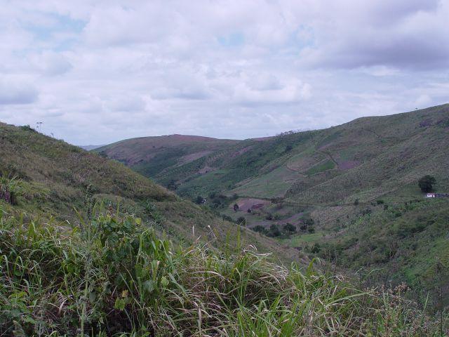 Fazenda com 80 hectares em Amaraji/Pe - REF. 286 - Foto 20