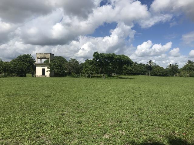 Granja, sítio, área, fazenda em Igarassu, Porto do vasco na estrada de mangue seco! - Foto 5