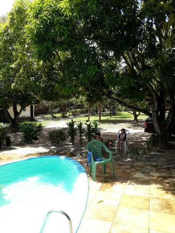 Sitio na Piçarreira - Vendo - Foto 8