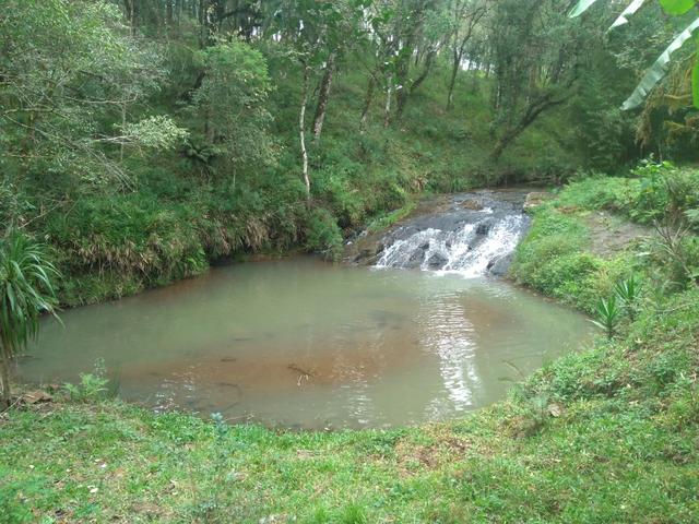 Chácara de 1 Alqueire . 4 km do Jordão - Guarapuava PR - Foto 20