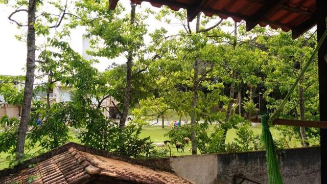 Casa à venda com 3 dormitórios em Boehmerwald, Joinville cod:6074 - Foto 5