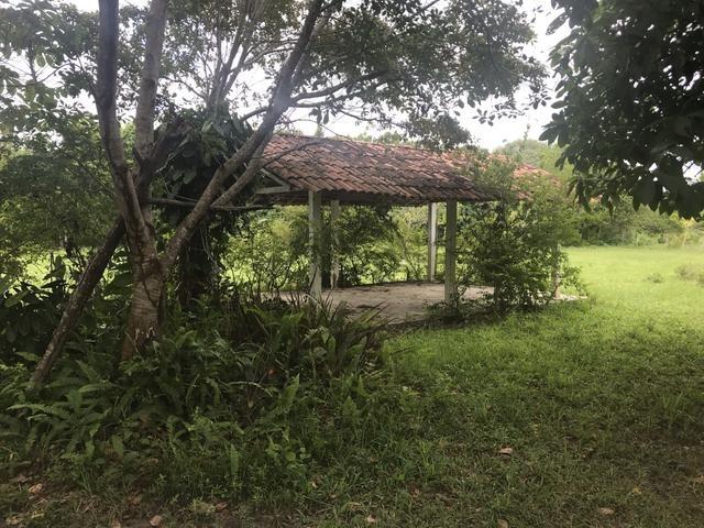 Granja, sítio, área, fazenda em Igarassu, Porto do vasco na estrada de mangue seco! - Foto 14