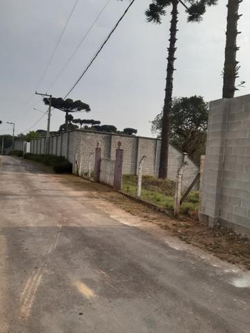 Chácara em perímetro urbano São José dos pinhais - Foto 2