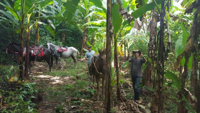 Sítio de 14 alqueires ou 68.320 hectares em Silva Jardim RJ - Foto 17