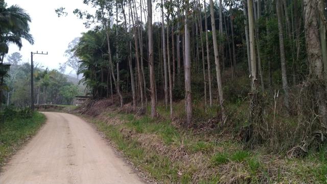 Vendo Sitio em Tijucas - Foto 2