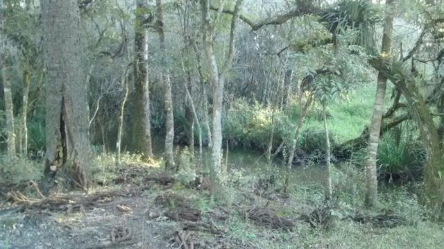 Chácara com 15.400 m² Campo Largo da Roseira - Foto 8