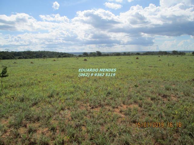 Terra c/ um alqueire sem benfeitorias, 600 metros da BR 060 Abadiânia, expansão Urbana - Foto 5