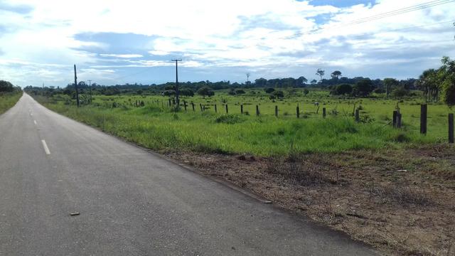 Vendo Fazenda em São João da baliza - Foto 5