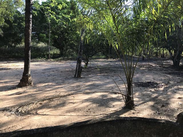 Chácara 7 hectares á venda Rio dos Peixes - Foto 17