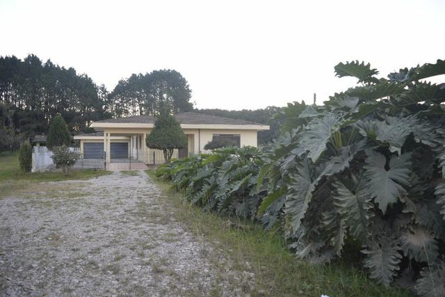 Chácara com 15.400 m² Campo Largo da Roseira - Foto 13