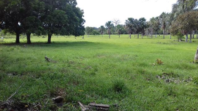 Vendo Fazenda em São João da baliza - Foto 6