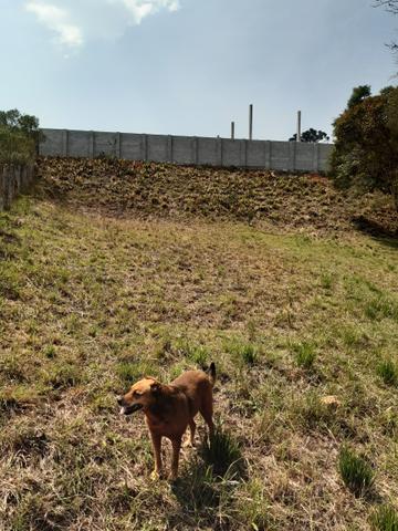 Chácara em perímetro urbano São José dos pinhais - Foto 16