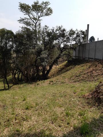 Chácara em perímetro urbano São José dos pinhais - Foto 8