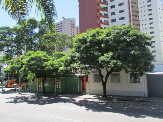 Excelente terreno no coração do bairro água verde!!! - Foto 14