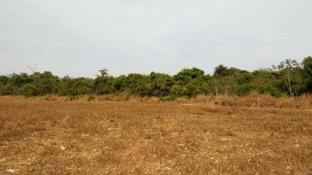 Fazenda Fechada Nova Ubiratã - 1568ha - Foto 3
