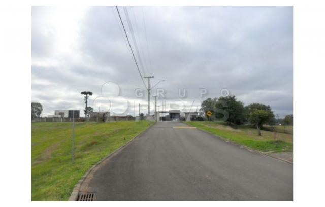Terreno residencial à venda, vila torres i, campo largo - te0117. - Foto 5