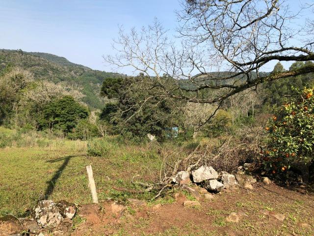 Área - Foto 2