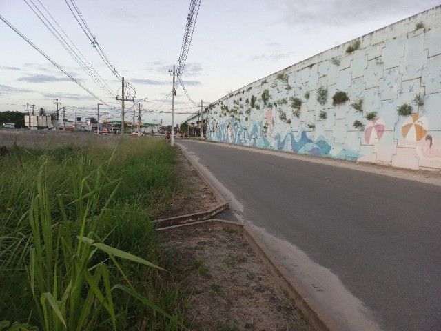Terrenos Comerciais  no Francês