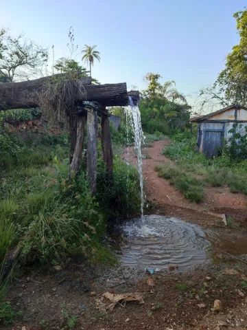 A Melhor fazenda da região. 576 ha. Muita água. 25 mil/há. *. - Foto 3