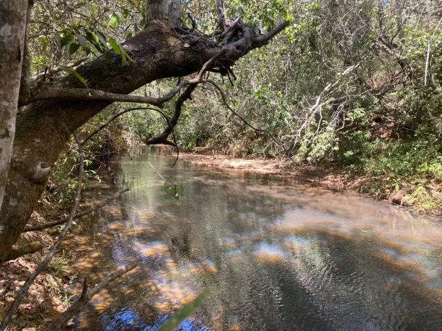Chácara de 20.000 m² toda cercada, com riacho nos fundos, Jaboticatubas.