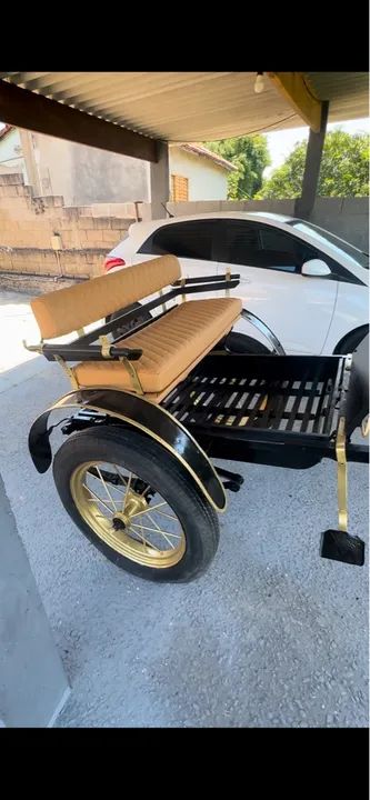 Charrete aro 21  - Foto 2